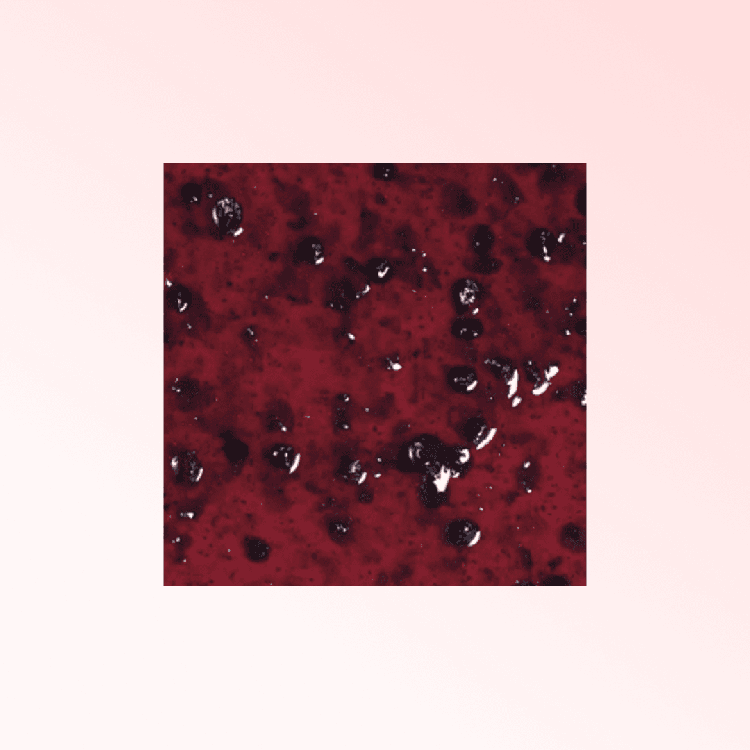 CES VARIEGATO BLUEBERRY 3.5 KG