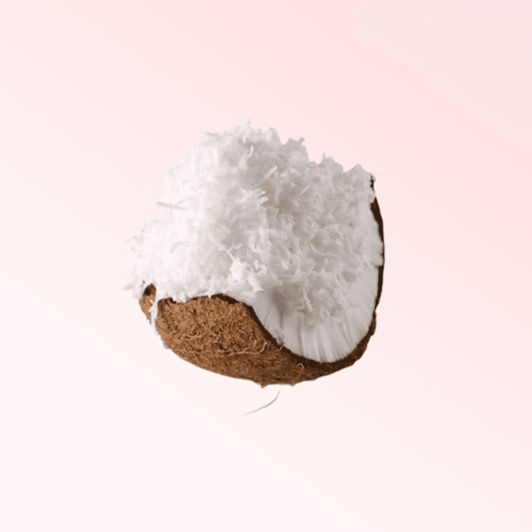 NUCA DE COCOS 1KG